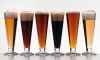 Variety-of-Beer-006.jpg