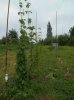DSCN4163.JPG