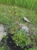 DSCN4164.JPG