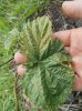 DSCN4167.JPG