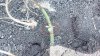 IMG_20160526_133835.jpg