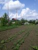 IMG_20160529_112138.jpg