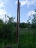 IMG_20160529_112444.jpg