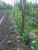 IMG_20160529_112624.jpg