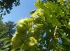 DSCN4460.JPG