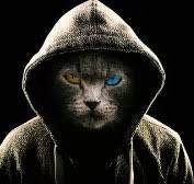 ЕвгеничПаша