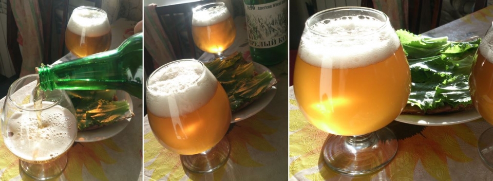 Партия №96 - "Зрелый Колос" American Wheat or Rye Beer<br />
Рецепт и описание есть...