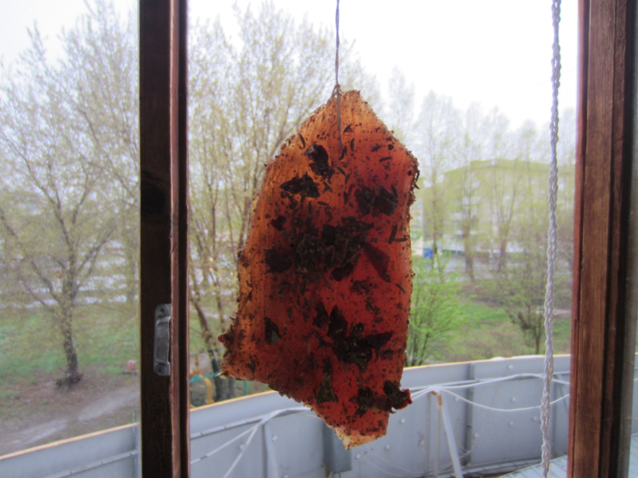 Аки стекло.