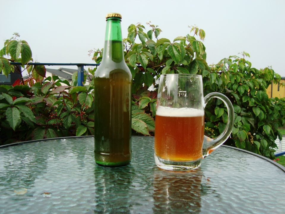 Сосновый топ - первый  опыт