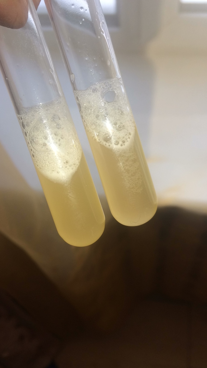 Бленд есть))