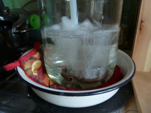 Кипение в барботере