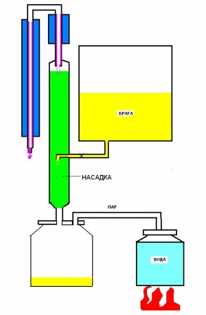 Сарсапарилла