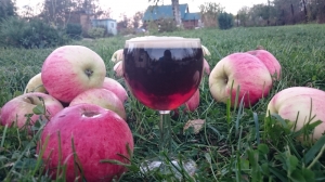 Овсяный стаут