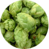 Hop Cones