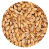 Malted Grain